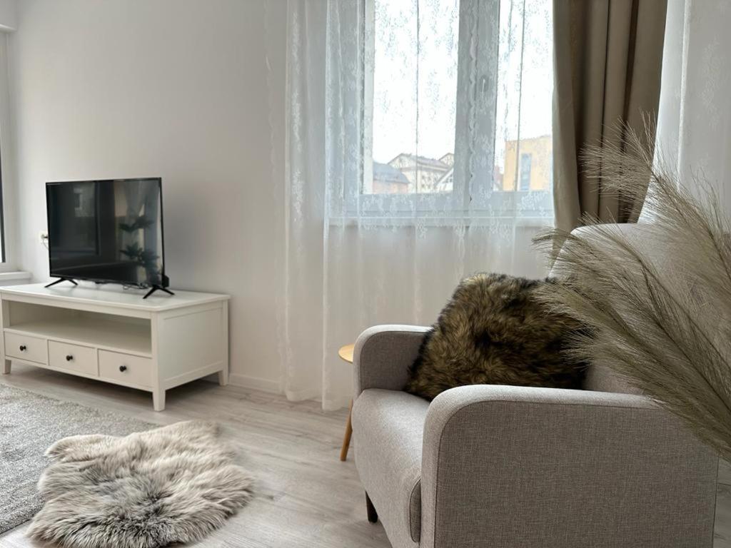 City Center Accommodation 111 Решица Экстерьер фото